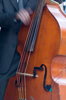 Upright Bass